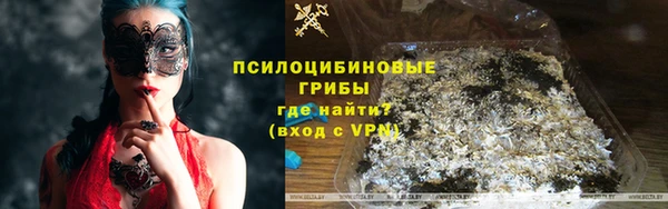 сатива Саяногорск
