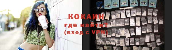 шишки Богородск