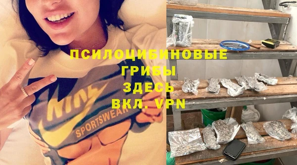 мяу мяу кристалл Богданович