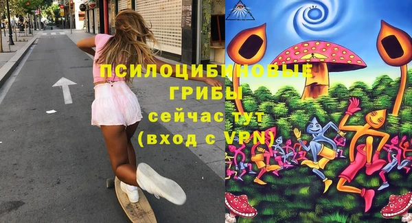 шишки Богородск