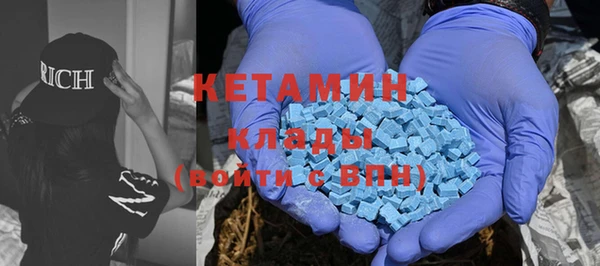шишки Богородск